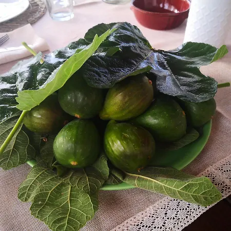 Li Brilli Alojamento de Acomodação e Pequeno-almoço 3*