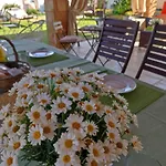 Li Brilli B&B