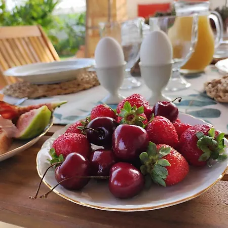 Bed & Breakfast Li Brilli Felline