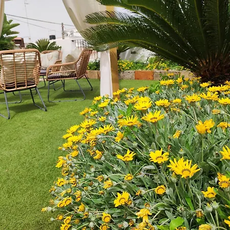Li Brilli Bed & Breakfast Felline